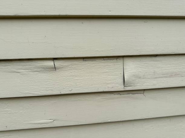 Best Siding for Multi-Family Homes  in Potomac Park, CA